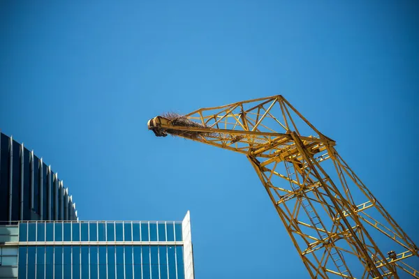 Stavební Jeřáb Pozadí Modré Oblohy — Stockfoto