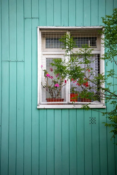 Oud Raam Met Rode Bloemen Vensterbank — Stockfoto