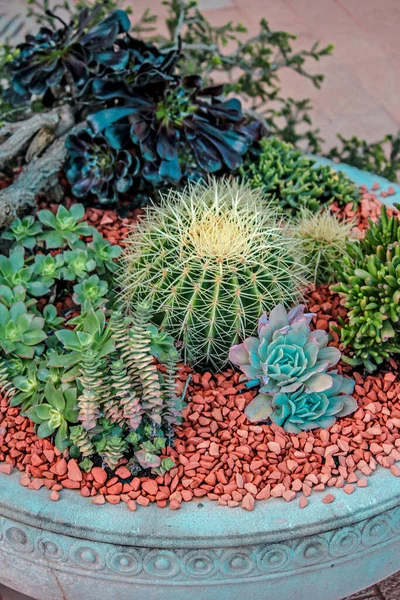 Schöne Botanische Aufnahme Natürliche Tapete — Stockfoto