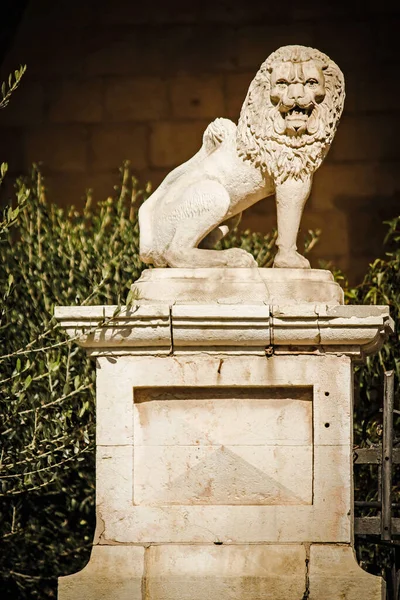 市内のライオンの像です — ストック写真