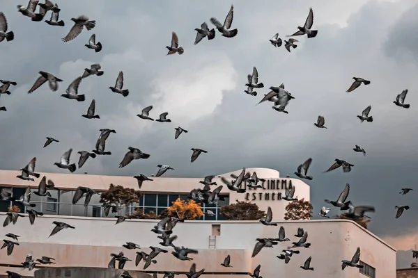 Tel Aviv Israel November 2020 Vacker Arkitektur Och Stadsutsikt — Stockfoto