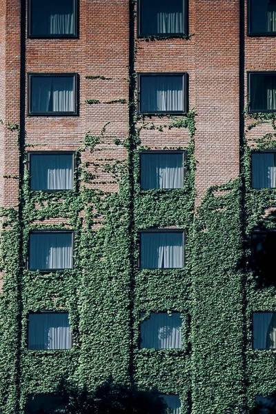Stará Budova Fasáda Detail Buenos Aires Krásná Architektura Města — Stock fotografie