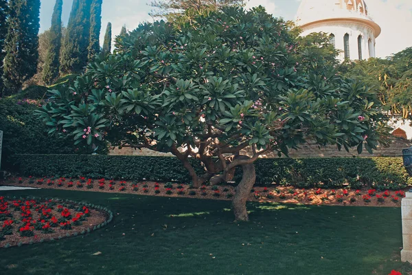イスラエル ハイファ2019年11月7日 バハイ庭園彫刻 — ストック写真