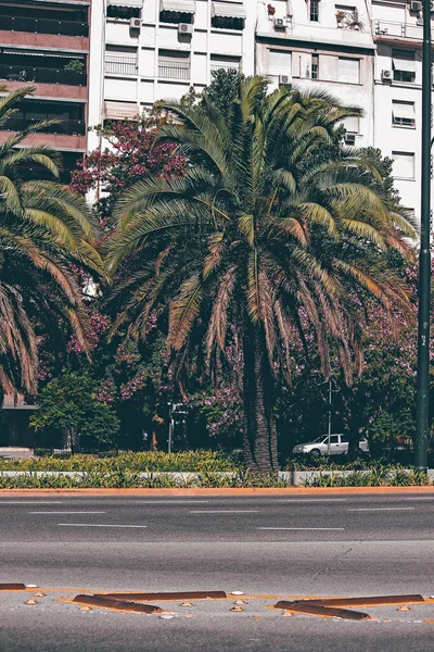 Gamla Byggnaden Fasad Detalj Buenos Aires Vacker Arkitektur Staden — Stockfoto