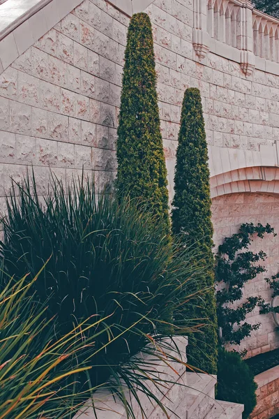 Vacker Botanisk Skott Naturliga Tapeter Gröna Växter Och Arkitektur Trädgården — Stockfoto