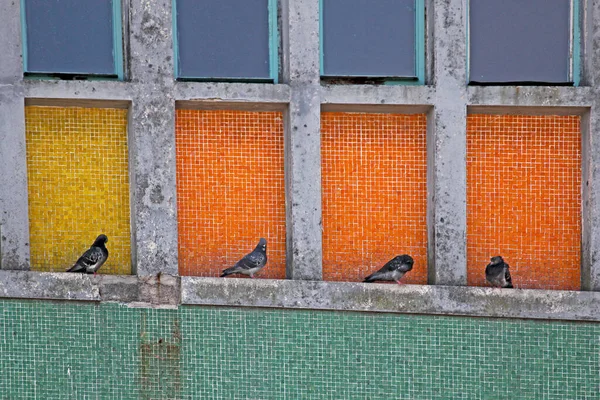 Nahaufnahme Der Fassade Alter Baudetails — Stockfoto