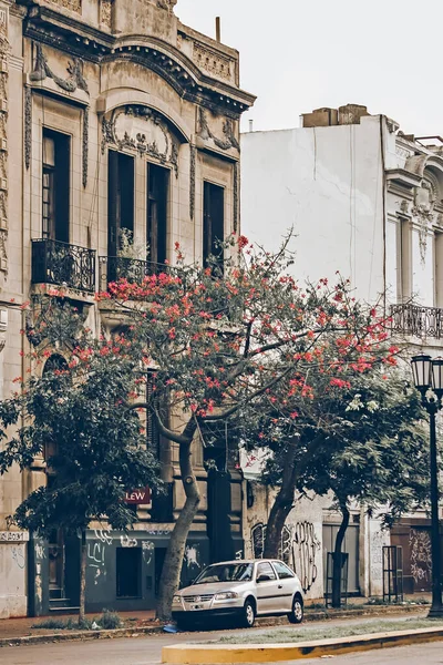 Fachada Del Antiguo Edificio Ciudad —  Fotos de Stock