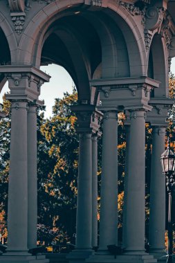 Parkın güzel manzarası