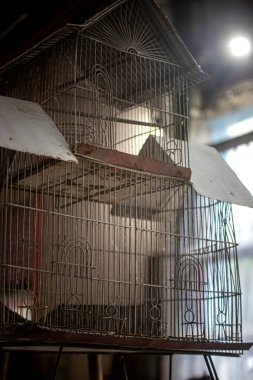 Eski bir evde kuş kafesi