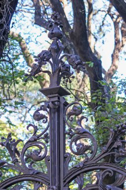 Şehrin eski çitlerinin manzarası