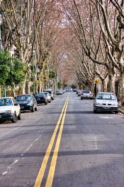 BUENOS AIRES, ARJANTINA - 7 Kasım 2021: Sakin bir sokak manzarası.