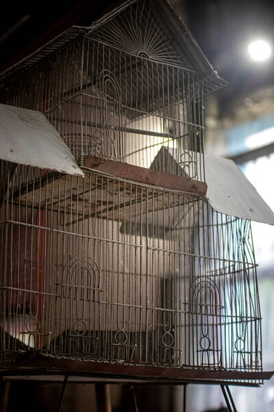 bird's cage in an old house