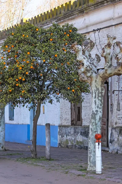 Красивый Вид Улицу Красочная Осень — стоковое фото