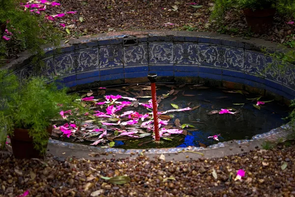 beautiful fountain in the garden