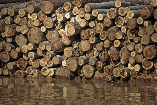 view of the wood logs pile