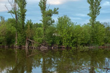 Gün batımında nehir ve ağaçlarla doğal manzara