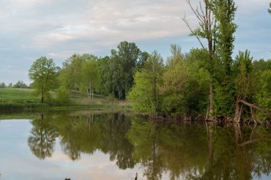 Gün batımında nehir ve ağaçlarla doğal manzara