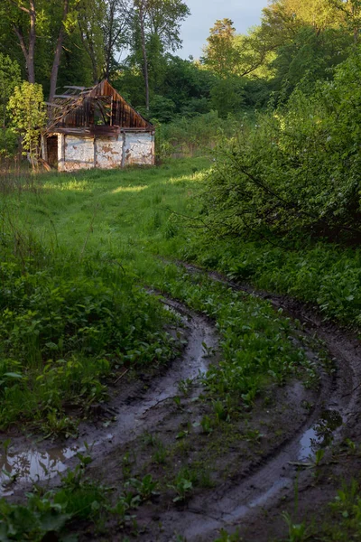 Una Vieja Casa Ruinas Medio Claro Bosque — Foto de Stock