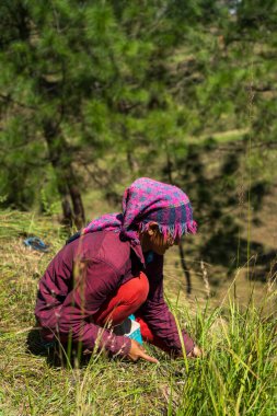 Kadın çiftçi güneşli bir günde ekin ve çim biçiyor.