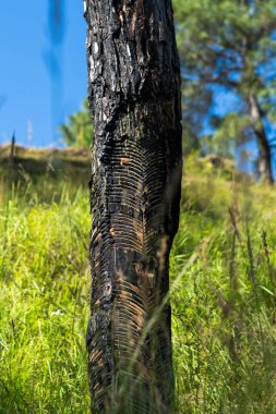 Lastik tıkırtılarında çapraz desen