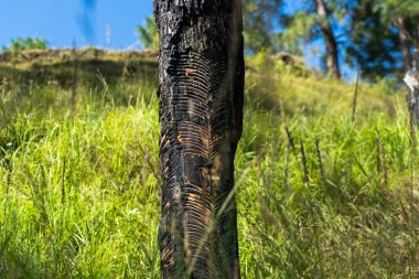 Lastik tıkırtılarında çapraz desen