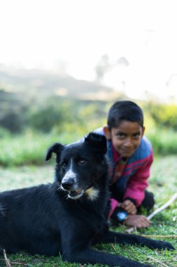 Genç bir köy çocuğu güneşli bir günde siyah bir köpekle tarlalarda oynuyor.