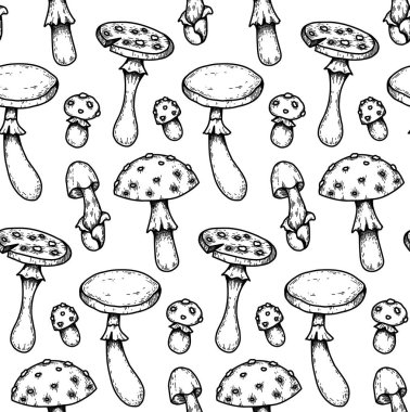 Yumurtadan çıkan zehirli mantarların elle çizilmiş çizimleriyle kusursuz desen. Amanita ve sahte mantar. Duvar kâğıdı için doğal dokuyu yönlendir. Tehlikeli mantar çizimine sahip arka plan