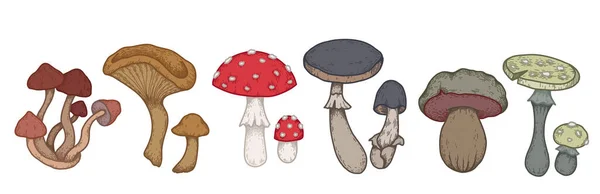 Conjunto Vectorial Coloridos Bocetos Varias Setas Venenosas Con Eclosión Amanita — Archivo Imágenes Vectoriales