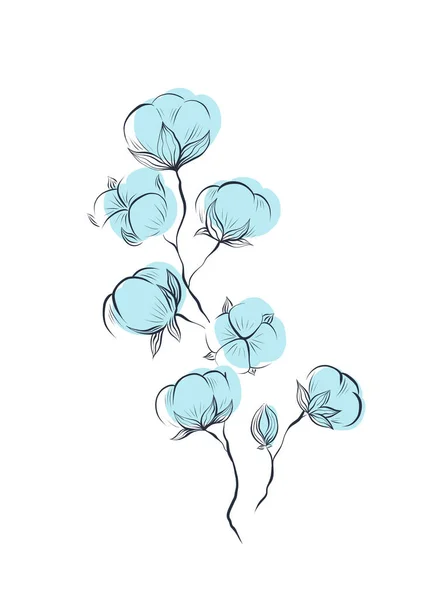 背景から隔離された葉を持つ青い綿の植物や茎の繊細な自然なスケッチ 茎やふわふわのボールを持つベクトル穏やかなハーブクリップ — ストックベクタ
