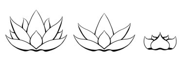 Nilüfer hatları vektör kümesi. Simge için bir paket ana hatlı su çiçeği. Spa ve yoga logosu için doğal kutsal sembol. Ruhani sanat eserleri arkaplandan izole edilmiş.