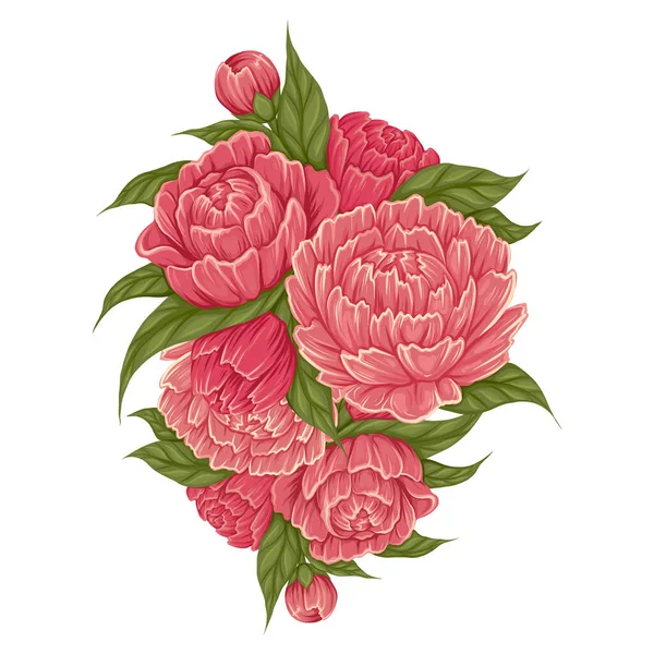 Vektor Tecknad Illustration Buske Med Pion Blommor Med Bladverk Vit — Stock vektor