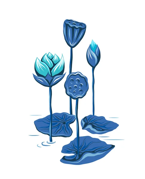 Ilustración Vectorial Con Lotos Azules Tallos Lago Imagen Botánica Con — Archivo Imágenes Vectoriales