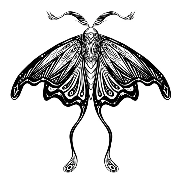 Vector Drawing Moth Tattoo Antennae Monochrome Drawing Night Butterfly Tracery — Stock Vector