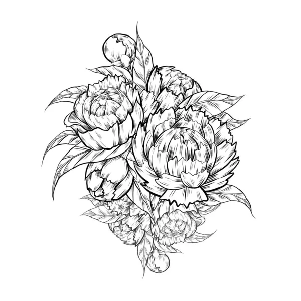 Vektorový Náčrt Ilustrace Pivoňkových Květů Listím Obrysový Inkoust Obrázek Přírodní — Stockový vektor