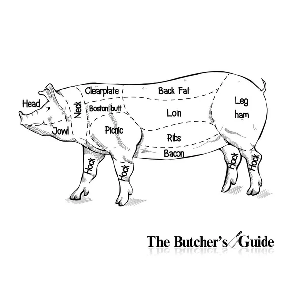 Schweinefleisch Set Metzger Diagramm Vintage Handgezeichnete Grafik Vektor Illustration Auf — Stockvektor