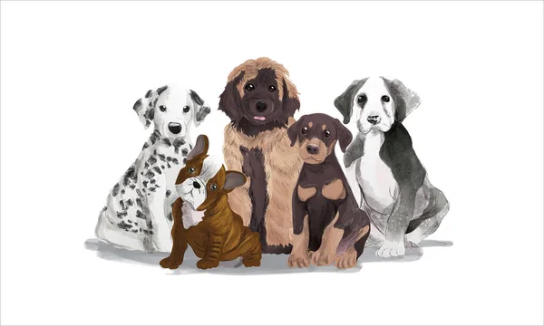 Grupo Perros Cachorros Retrato Acuarela Vector Realista Ilustración Sobre Fondo — Archivo Imágenes Vectoriales