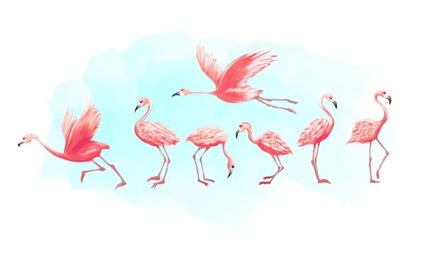 Set Flamingos Different Posing Watercolor Vector Illustration Graphic White —  Vetores de Stock