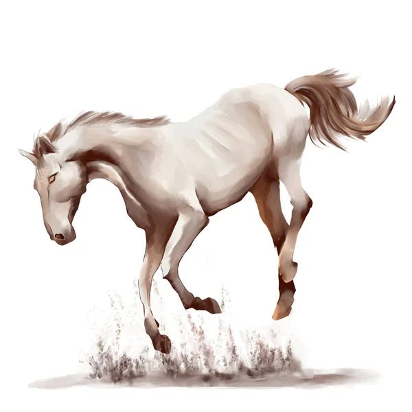 Correre Cavallo Bianco Nero Acquerello Stile Sfondo Bianco — Vettoriale Stock