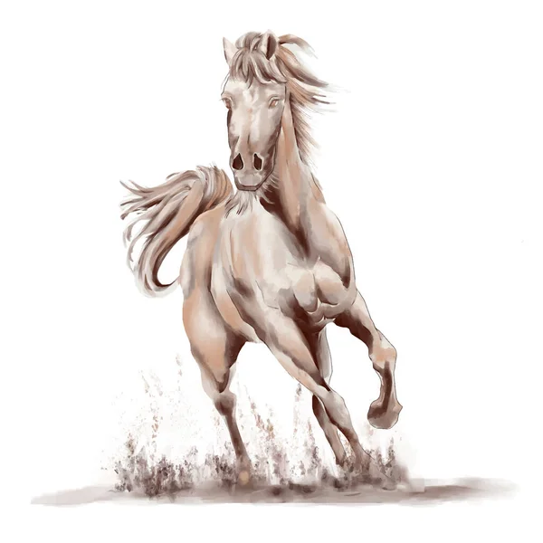 Running Horse Black White Watercolor Style White Background — Stok Vektör