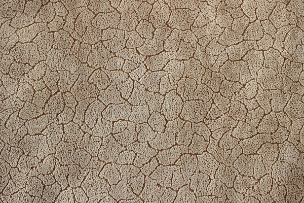 текстура ткани. Фон текстильной фактуры. Различные цвета