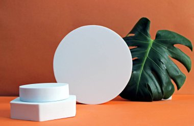 Ürün için pastel zemin üzerinde boş silindir şekilli soyut podyum. Asgari konsept.