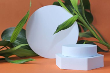 Soyut minimum doğa sahnesi - bej arka planda üç beyaz dikdörtgen podyumu ve ağaç yapraklarının gölgeleriyle boş sahne. Kozmetik ürün ve ambalaj modelleme sunumu için kaldırım taşı