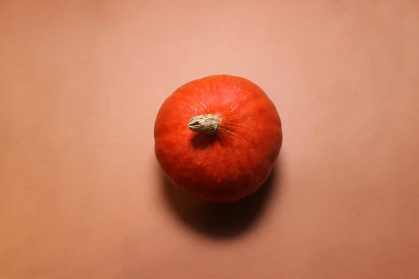 Calabaza Miniatura Naranja Fresca Aislada Sobre Fondo Naranja —  Fotos de Stock