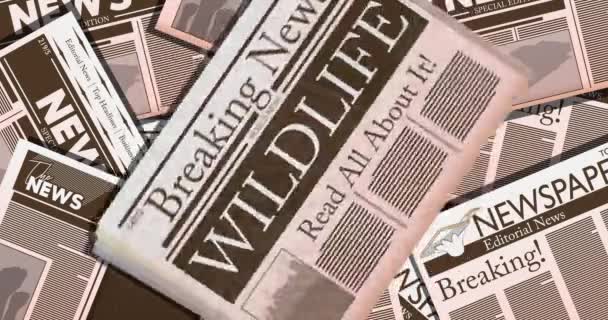 Zeitung Mit Dem Text Wildlife Als Überschrift Auflösung Zeichentrickanimation Nachrichten — Stockvideo