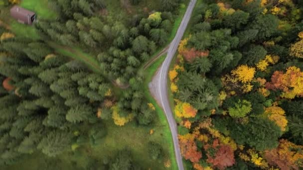 Drone suivant une route de montagne sinueuse vide à travers une forêt d'automne colorée