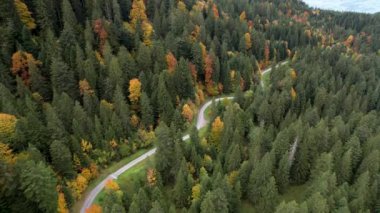 Renkli bir sonbahar ormanı ve dolambaçlı dağ yolunda geriye doğru uçan kule.