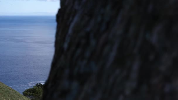 Het vestigen van rotsachtige kustlijn op tropisch eiland in de Azures met groene weide. — Stockvideo