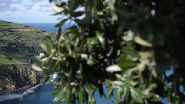 Dolly vpravo odhaluje malebné skalnaté útesy a pobřeží Sao Miguel, Azures — Stock video