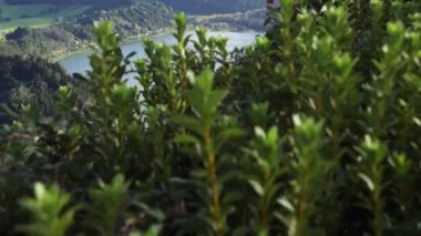 Sao Miguel in Azures 'deki güzel krater gölü Furnas' ı kuran Jib