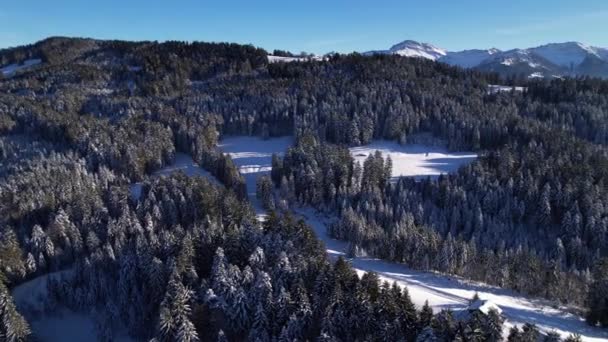Παραμύθι χειμώνα πανόραμα δάσος σε μια όμορφη ηλιόλουστη μέρα, εναέρια τροχιά — Αρχείο Βίντεο